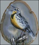 (image for) Singing Meadowlark
